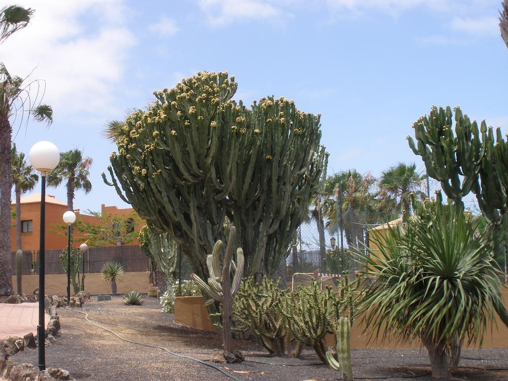 Apartamento Oasis Dunas Corralejo Exteriér fotografie